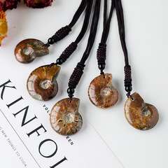 Natural Crystal Madagascan Banded Snail Fossil Pendant, Original Stone Chrysanthemum Snail Mineral Specimen Shell Necklace