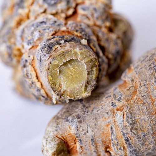 Yunnan Specialty Wenshan Tienchi Origin 20 Head Tienchi Fruit Tienchi Powder Traditional Chinese Medicine Wholesale