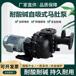 勝川寶大頭泵永元電機馬肚泵塑料化工電鍍槽外泵卧式耐酸鹼自吸泵