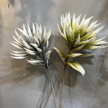 EVAǧ�~�J�C ���滨�Ҿ��bҾӔ[���Ӱ巿��ˇ��c������ĭ��