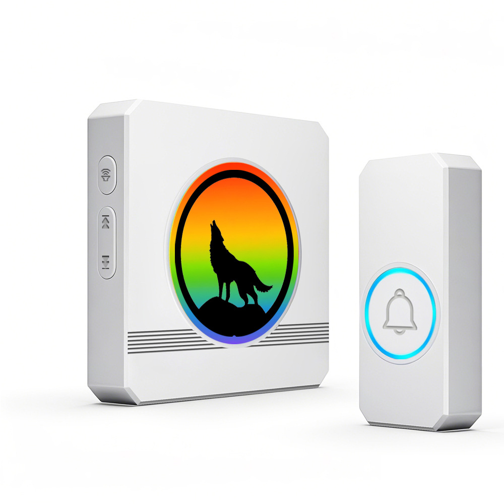 백인 미국 표준