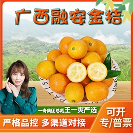 代用/养生茶;苹果;橙