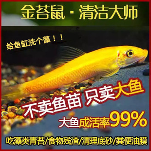 ������坍�~��̦���~�Ꭷ�^�p�~��̦�������~�~�׳���С�͹����~