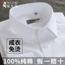 ��ľ������DP���̰�ɫ������ʿ���䳤���ļ���������ְҵ��װ����