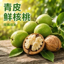 新货陕西新鲜核桃青皮新鲜湿核桃薄皮核桃当季孕妇零食坚果批发