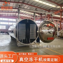 加工定制榴莲真空冻干机 山药秋葵脱水干燥机 多种果蔬烘干机