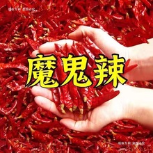 【干辣椒丨十万人购买】一斤装特辣干辣椒辣椒小米椒毛重