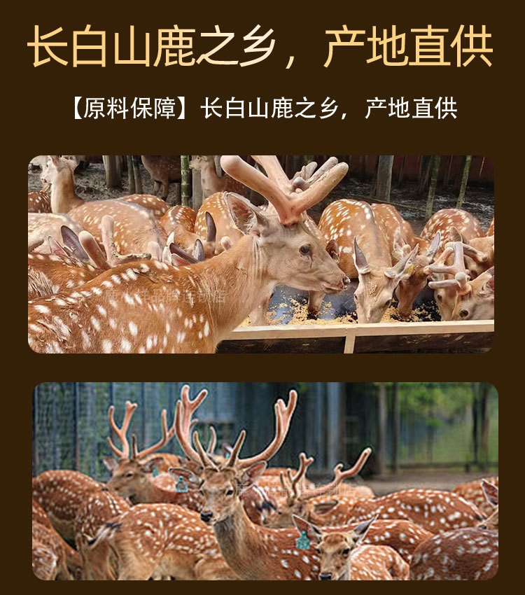Guilu Wan Deer Antler and Tortoise Shell Paste Traditional Male Tonic Ready to Eat 30g in use