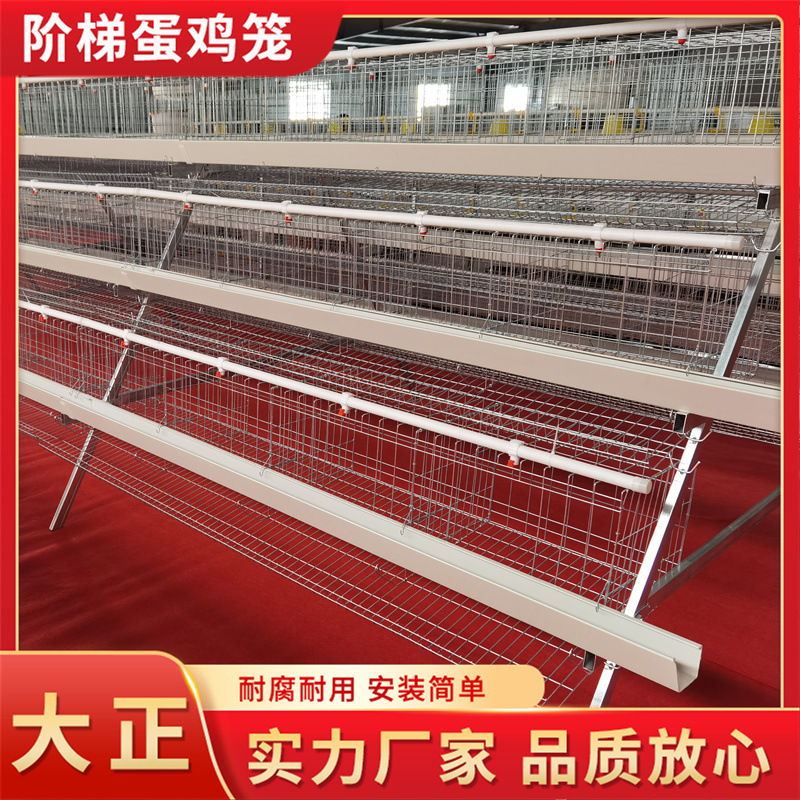 Jaula de huevas escalonada de gallinas ponedoras de tres capas de cuatro puertas tipo escalonado aparato de cría automática de gallinas