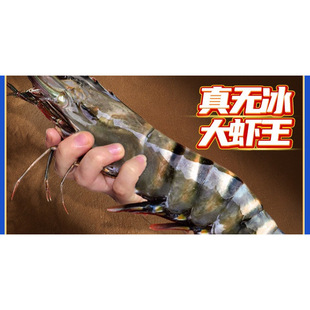 �ڻ��r���r�����ش�����r������r�߹��r�Ź��r����ƺ��rˮ�a