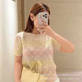 工厂一件代发26新款经典重工轻奢花满天星刺绣圆领针织短袖女上衣