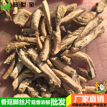 ���{�㹽�_�z5��10���b���_�zƬһ�֏S�Ұ��]���x�����o����ަ