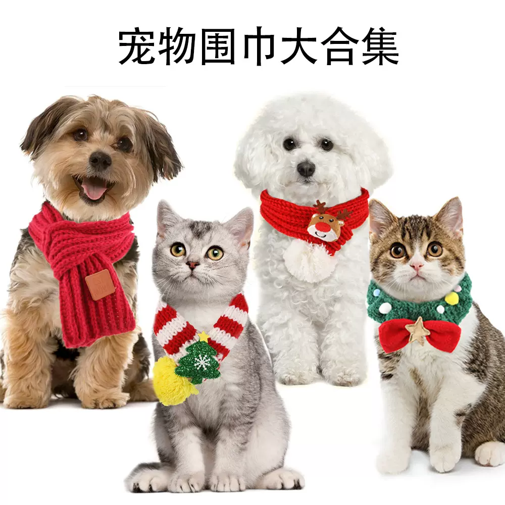 Z 圣诞节猫咪围巾秋冬款宠物围脖可爱圣诞猫咪装饰宠物针织围巾