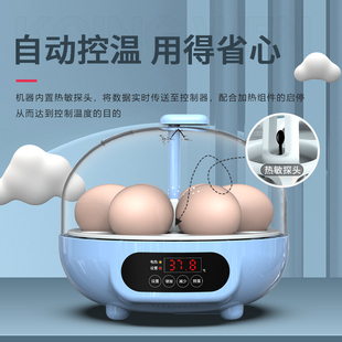 ✅ Egg Incubator, Chicken Incubator, Small Household Smart Incubator, Parrot Egg Mini Fully Automatic Incubator