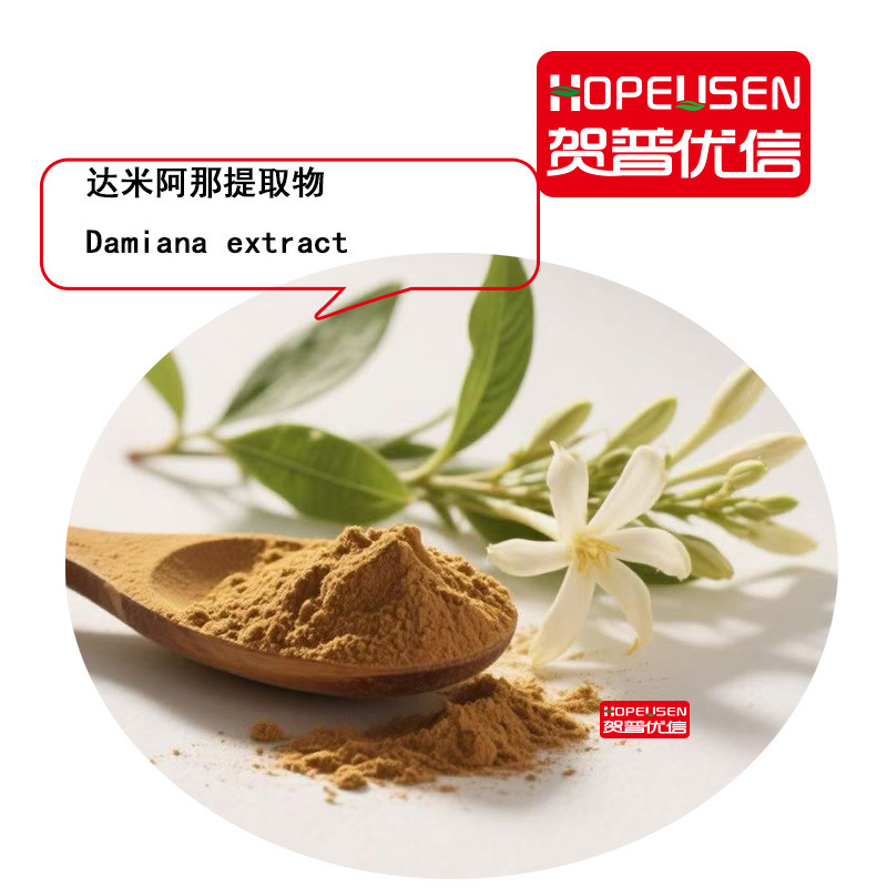 达米阿那 达米阿那提取物 新资源食品原料 10:1  贺普优信