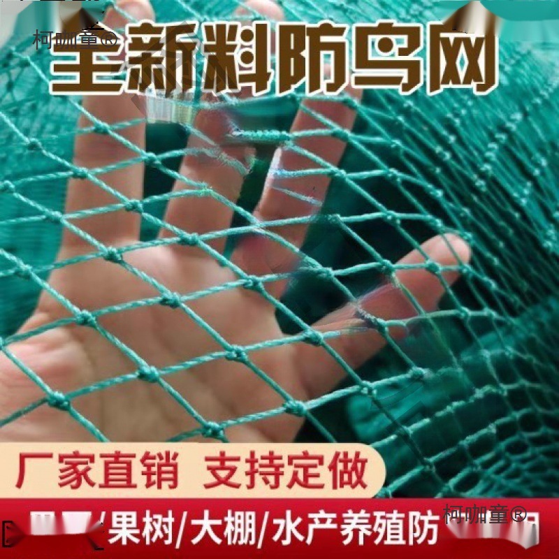 防鸟用网果树樱桃葡萄大棚果园农用防鸟网鱼塘养殖天网尼龙麦太保