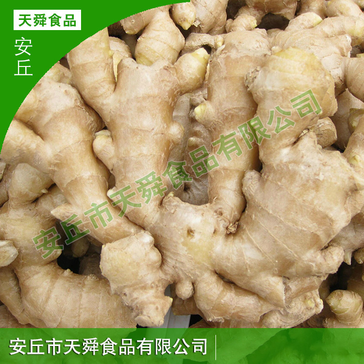 风干姜饭店餐馆用山东风干姜批发家庭餐厅火锅调味食材餐饮用大姜