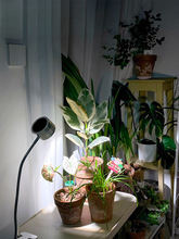 ȫ���Vֲ�����L���҃ȷ�̫ꖹ�A�ӿ�ܶ����a�������