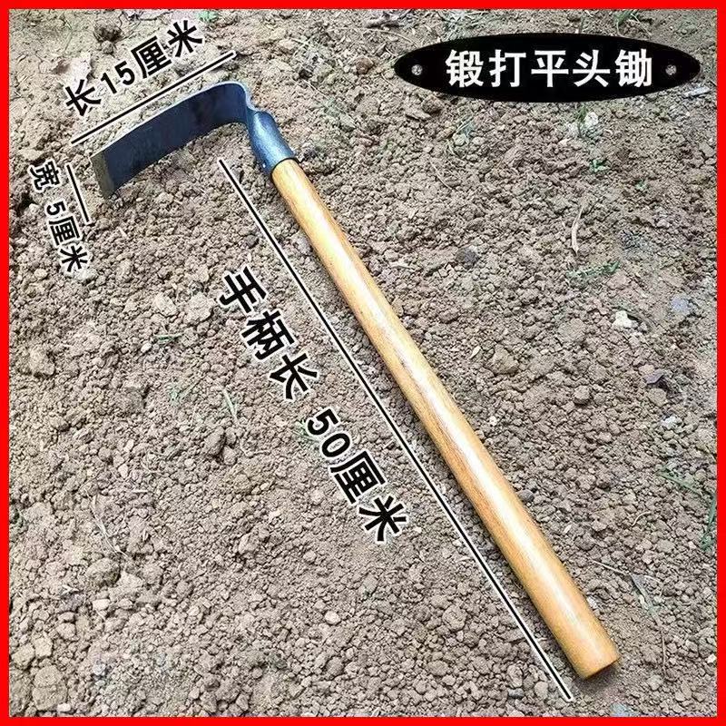 微信图片_202503301441343.jpg