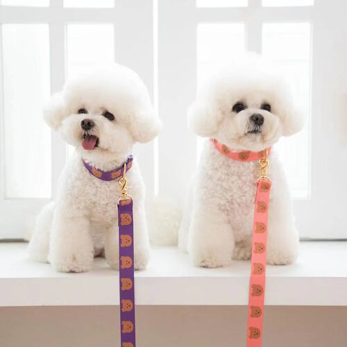 ins new Korean dog pet bear cute traction soft and durable can be picked up toilet bag traction rope dog walking