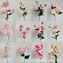 ��Y���滨��ɫ�ϼ� �����������������İ���õ����������֧