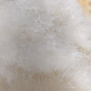 ��z�q�z�ָ� ��ë������q���l ���z�߽q�z���b�z �w�zë�z�ֽz