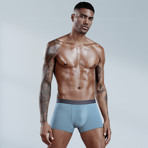 60 Count Lenzing Modal Men's Underwear Mid-waist Breathable 5A Antibacterial Underwear Men's Ice Silk Feel Zhongshan Manufacturer Wholesale
