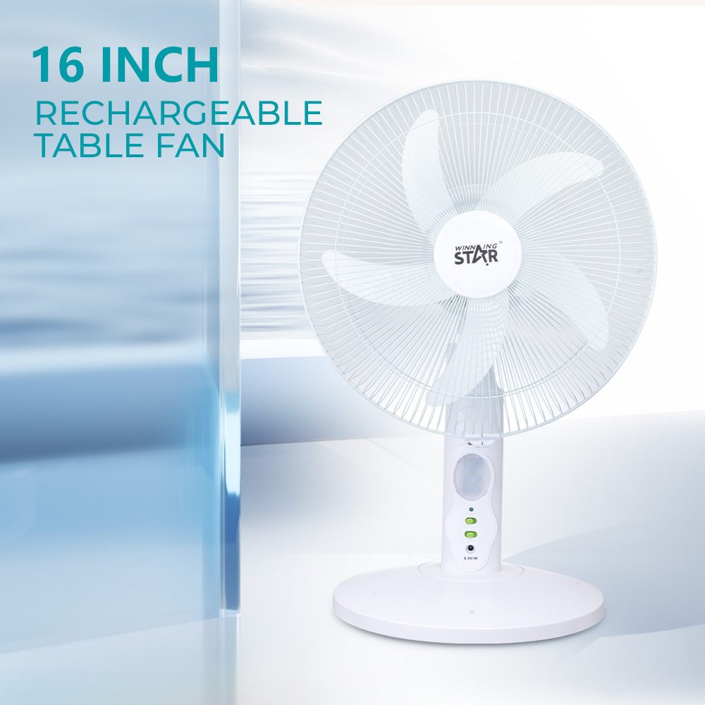 Winningstar transfronterizo exclusivamente para uso doméstico de 16 pulgadas 13W sacudiendo la cabeza con luz LED ventilador eléctrico portátil de pie