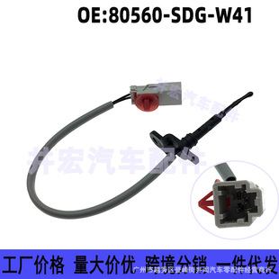80560-SDG-W41�m�ñ������w���{��������{���� ���l��ؿ؂�����