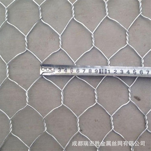 �p�g��߅���F�z�W �C����\�W ���ǾW�C����\䓽z�W���g���F�z�W