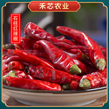 石柱红石柱辣椒贵州石柱朝天红适合火锅底料麻辣调料豆瓣酱香辣