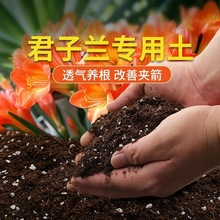 蔬菜育苗营养土通用玉米鲜花种菜型营养花卉种植广场肥料大号