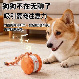 �����ԄӶ���������늄ӝL����؈���������� USB��늱��Ͻ␞���