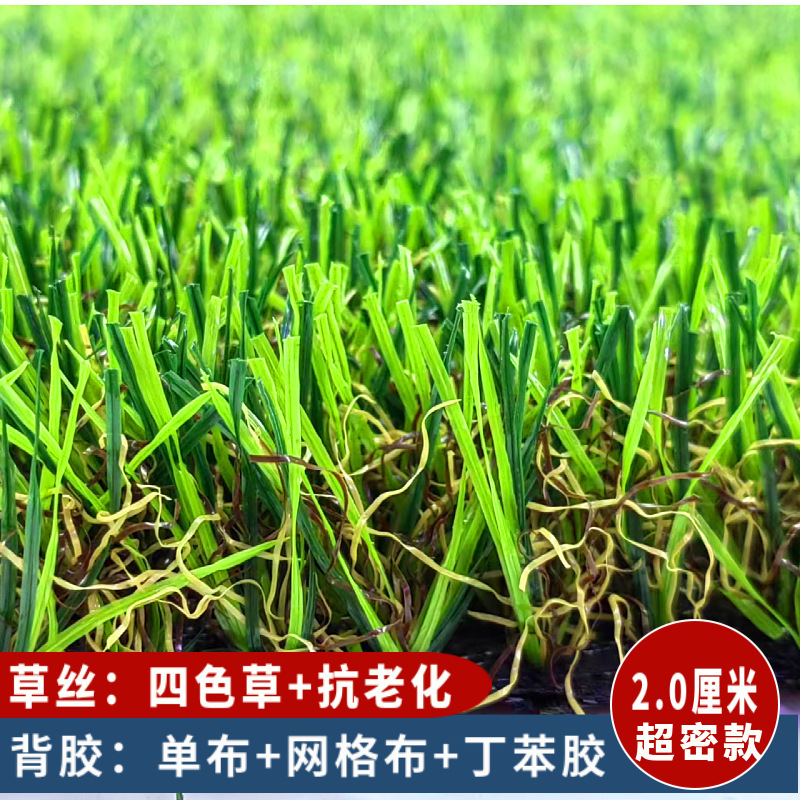 メーカー幼稚園のサッカー場の人工芝工事は偽の草の皮の人工絨毯の芝生を囲います。|undefined
