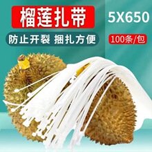 ��ɏ����5*650mm5*600�S��ֱ�N���L��������