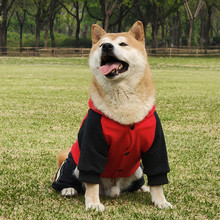 ���ﹷ���¿��ﶬ�b���·���Ȯ߅���_Ħ���������д���Ȯ���_��