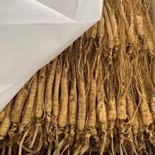 ���� �˅� ɽ���L��ɽ�˅� �Ʌ� С�˅� ��ɽ��