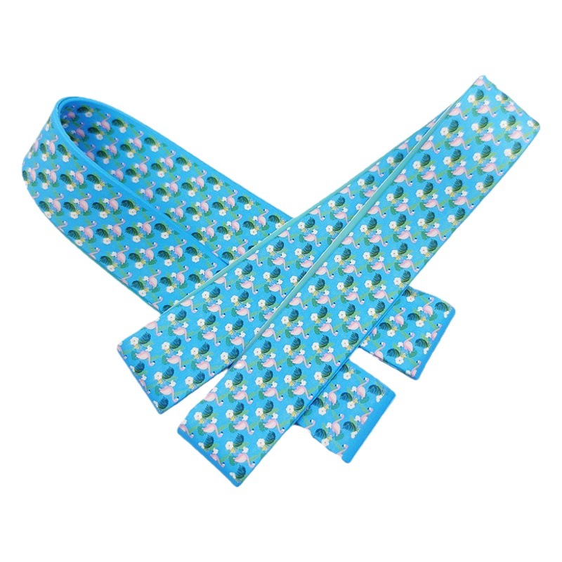 Barra de playa de flores de impresión en color transfronterizo 30CM bridas de silicona verano fruta animal patrón 2.5CM bridas al por mayor