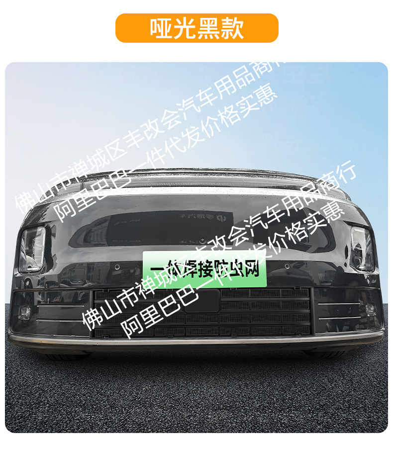 Suitable for Leapmotor D99 pure electric version/rechargeable version, integrated welded car insect-proof mesh, special accessory for the front grille