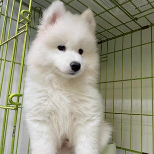 ���N�_ĦҮ��Ȯ���w΢Ц��ʹ�_ĦҮȮ����ѩ��Ȯ�ܰ��_Ħ���ﹷ��