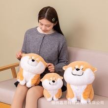 ɐܛȰëq߲Ȯż˯XŮ޶Y