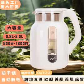 跨境烧水壶大容量水壶小电热水壶不锈钢家用电水壶迷你热防干烧