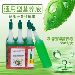 植物用養液、一般花肥料、金のなる木、水耕栽培、富の竹、ポトス葉面スプレー、無希釈鉢植え