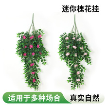 ���l���㻱������滨�l��c�b����̈��������ٻ��콁���Ҿ��b��