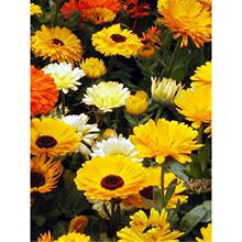 ��K�շN���ļ����N�_���ͺ�̫ꖻ��N�������L���մ��K���N����