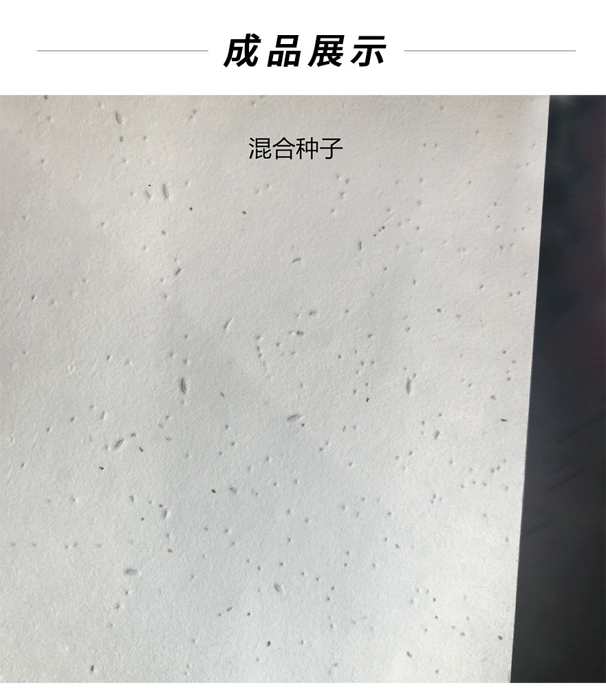 种子纸（原纸）_07