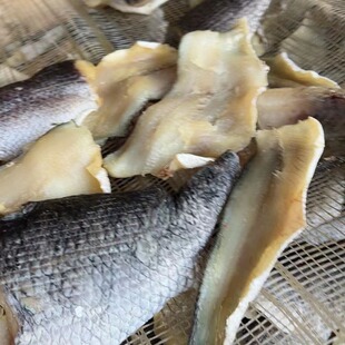 �~��  ���~��Ƭ ��� ���l ���r��؛ ��ζ ���~�� ���~�� ���~��