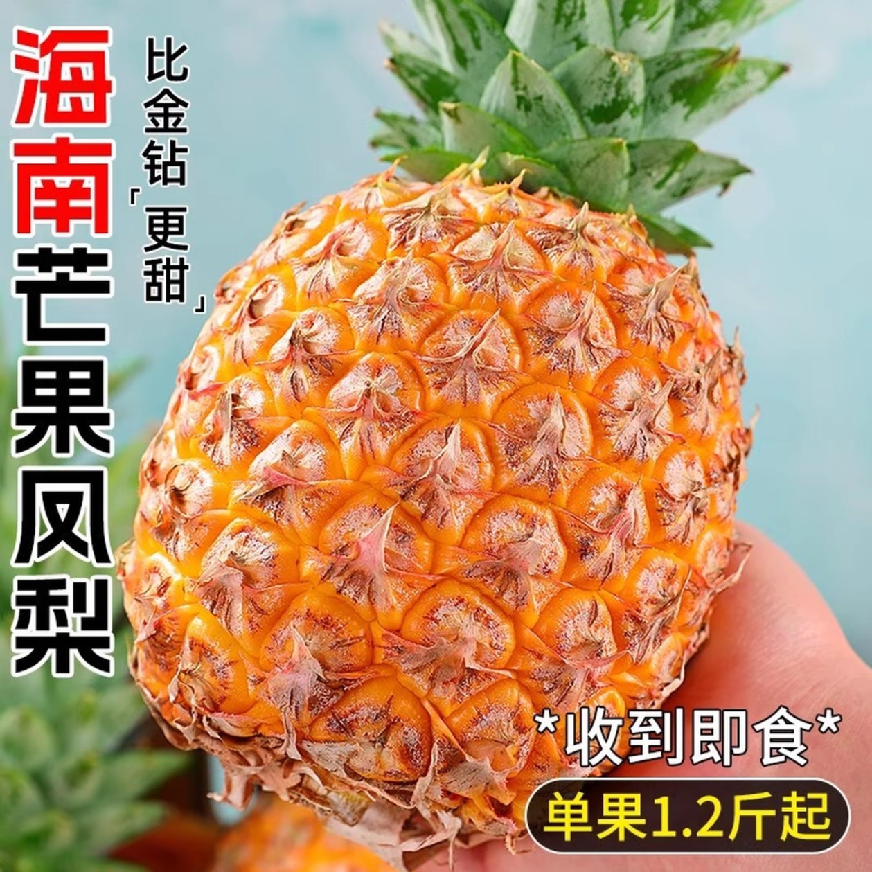 Hainan mango pineapple Tainan No.23 mango flavor SF express included orchard seasonal fruit freshly picked gift box dropshipping