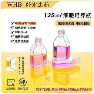 T25 cell culture flask sealing cap with gasket TC processing for cell transportation sterile laboratory consumables
