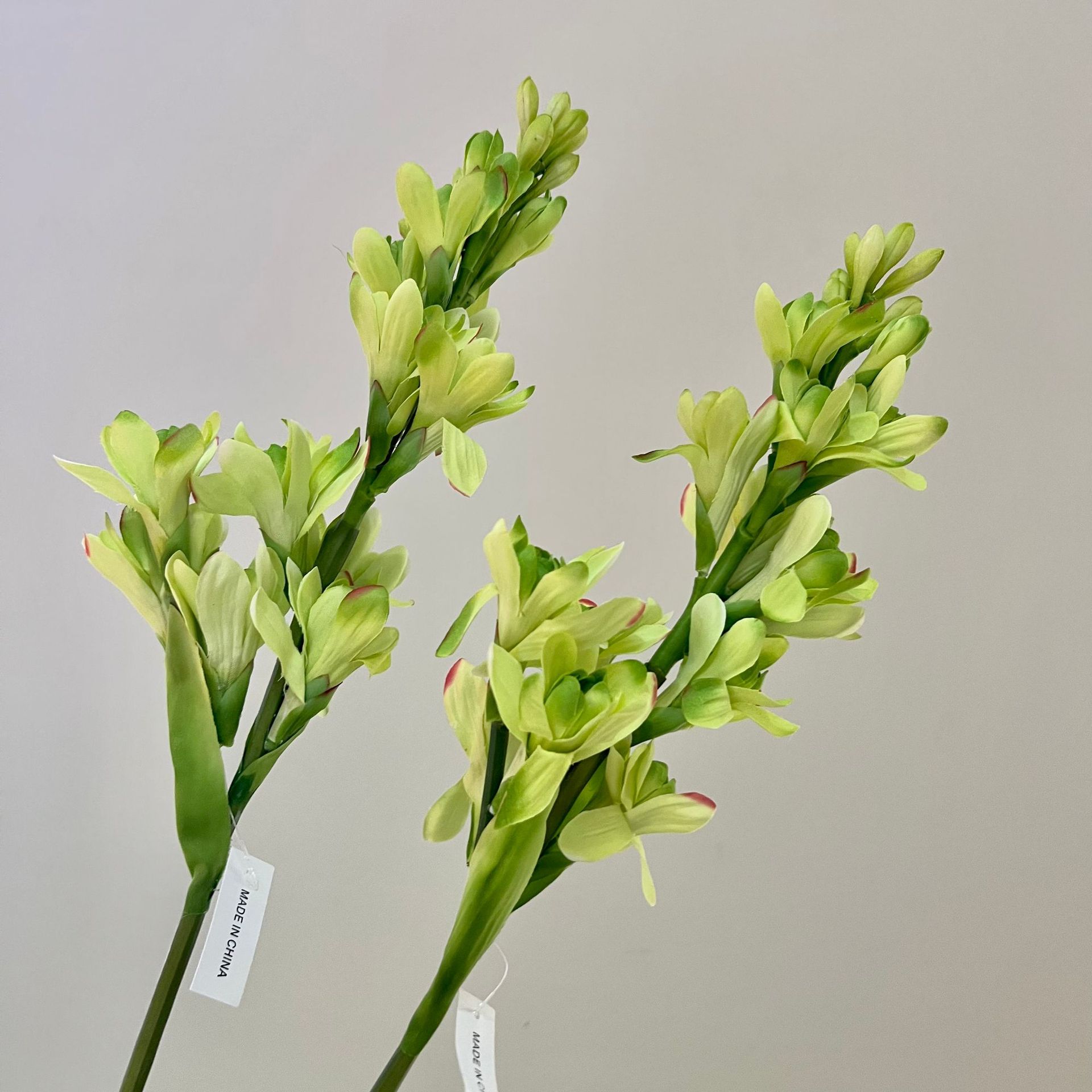 WeChat picture_20240613163335.jpg